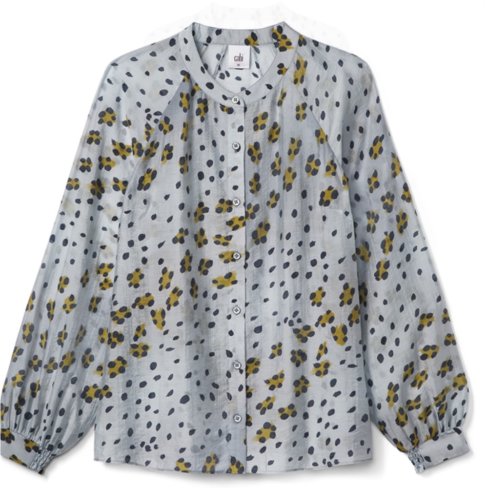 Chic Polka Dot Blouse